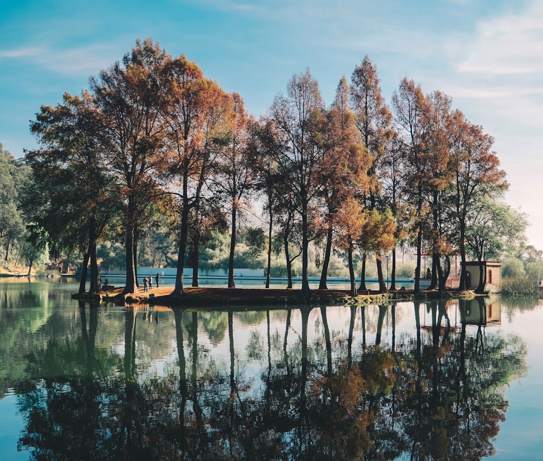 Unplugged Adventures: Why the Great Outdoors is Your Best Therapist
